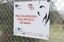 A sign on a chain link fence says finca colaboradora con el proyecto