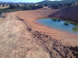 Hay un pequeño estanque en el medio de un camino de tierra.
