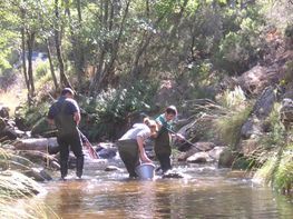 Un grupo de personas está pescando en un arroyo.