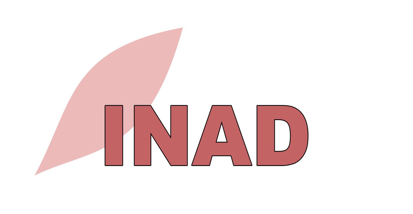 Logo INAD.