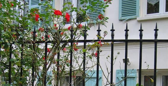 Une clôture en métal noir se dresse devant un bâtiment blanc aux volets bleu clair et un rosier en fleurs.