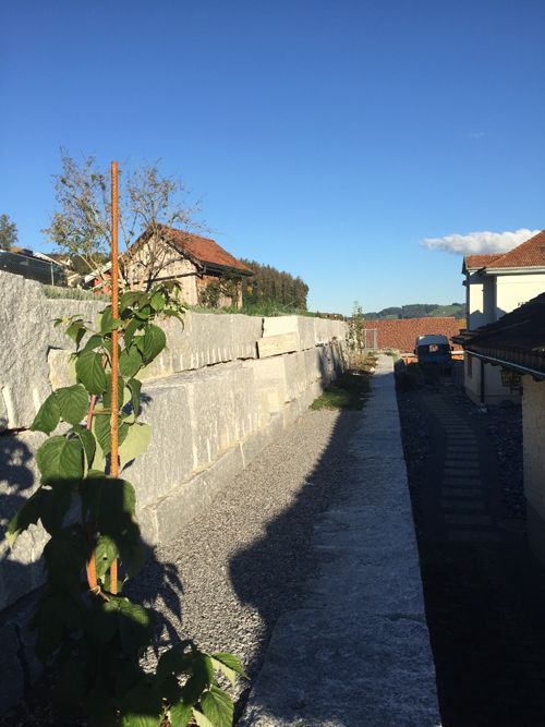 Natursteinwand - Vettiger Transport AG- Lütisburg-Station