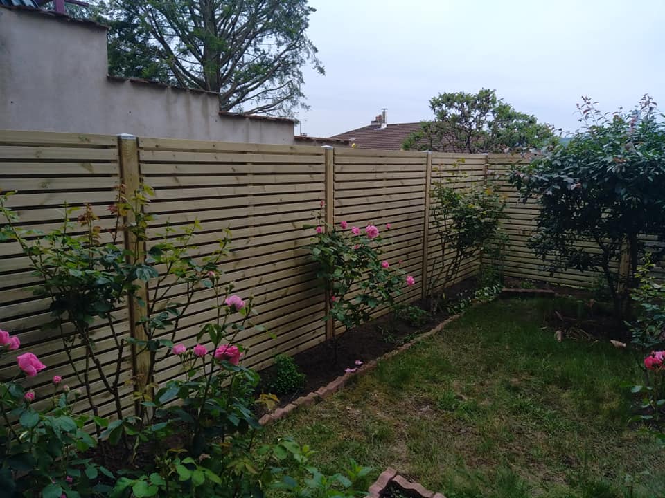 Aménagement de plantes