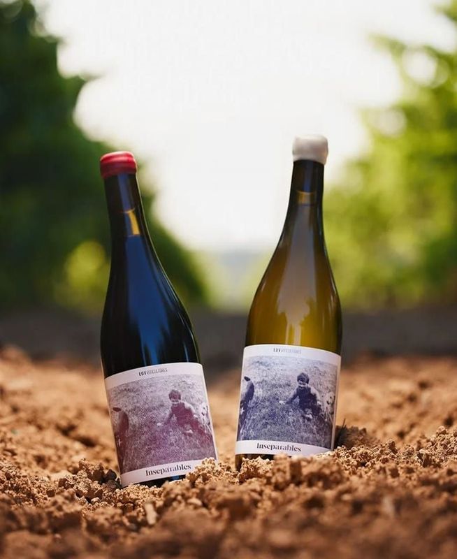 Dos botellas de vino están encima de un montón de tierra.