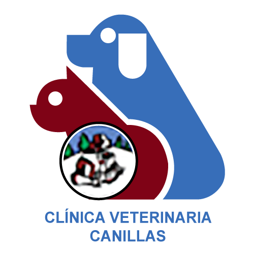logotipo cabecera