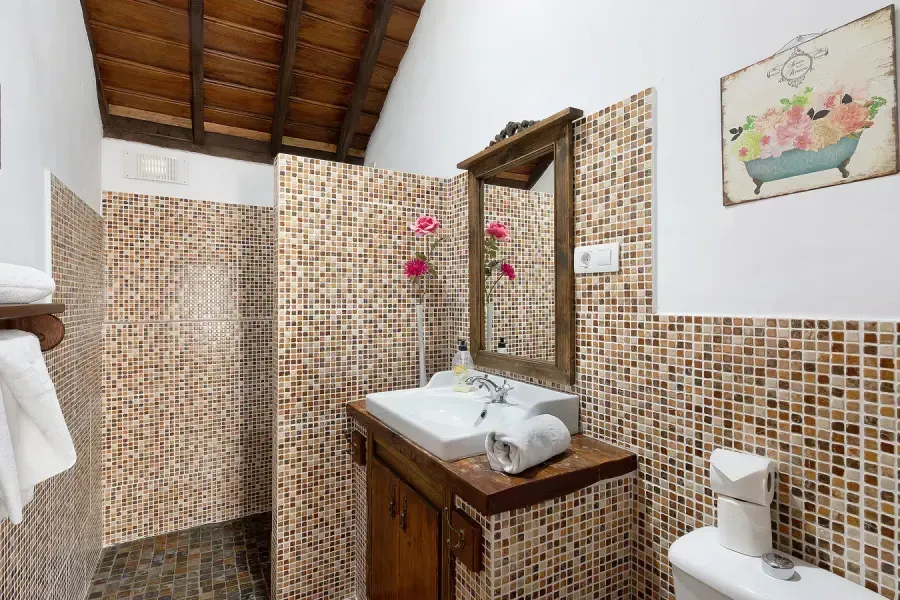 Baño con paredes de mosaico, tocador de madera con lavabo, espejo e inodoro.