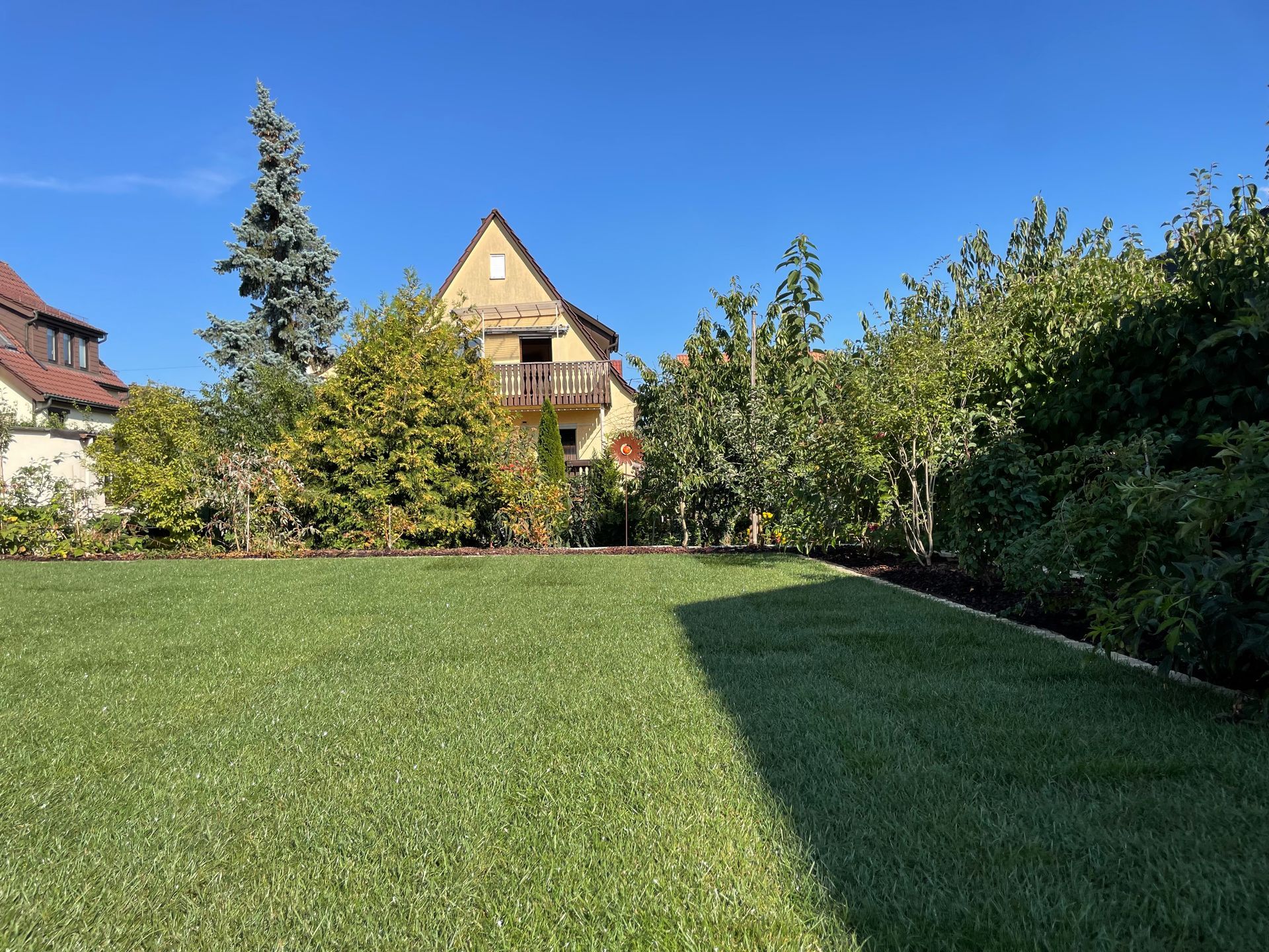 Sonniger Garten mit dichtem Rasen und Bäumen im Hintergrund.