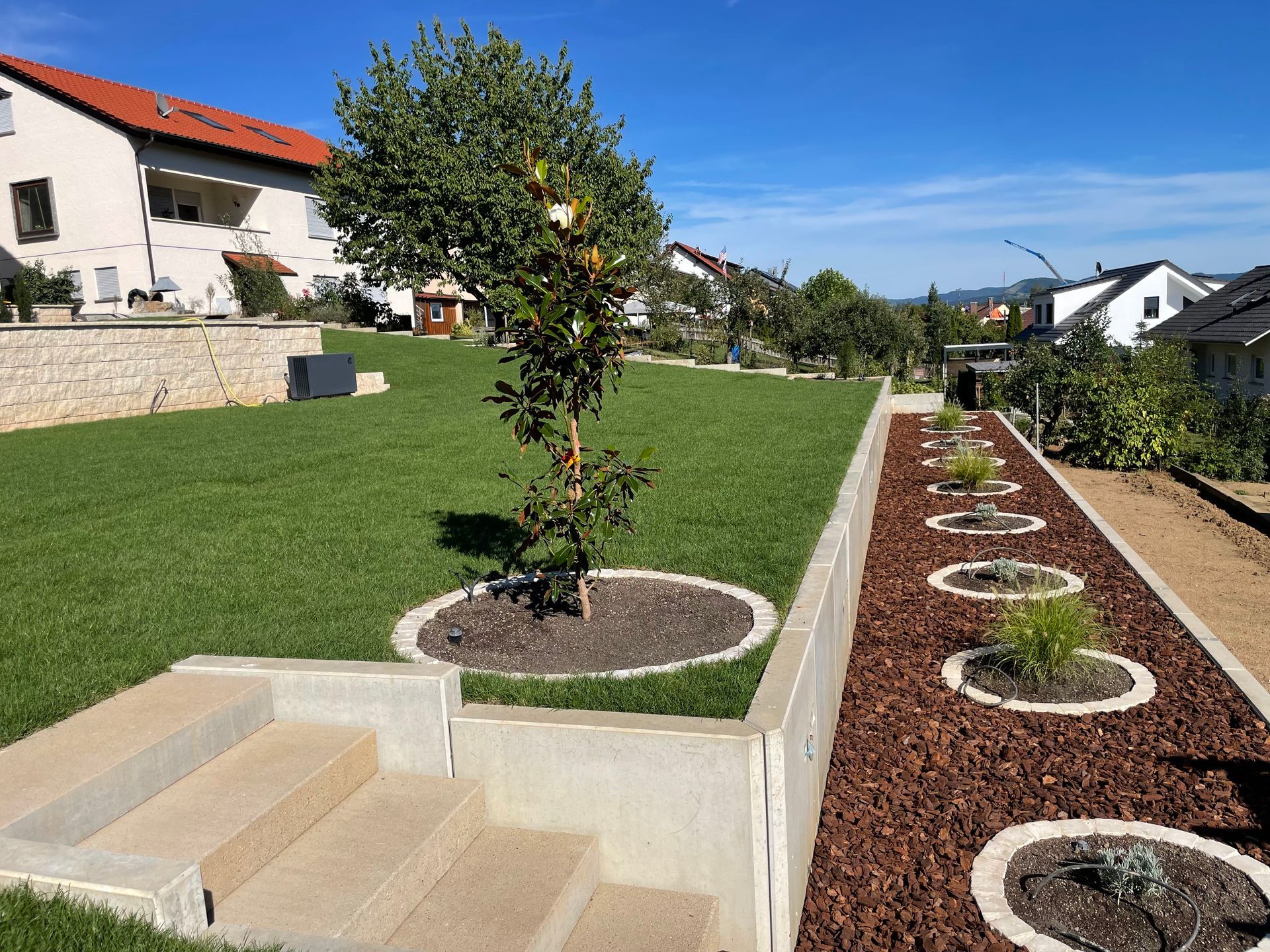 Neu angelegter Garten mit Baum, Rasen und Rindenmulch.