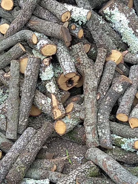 Bois de chauffage