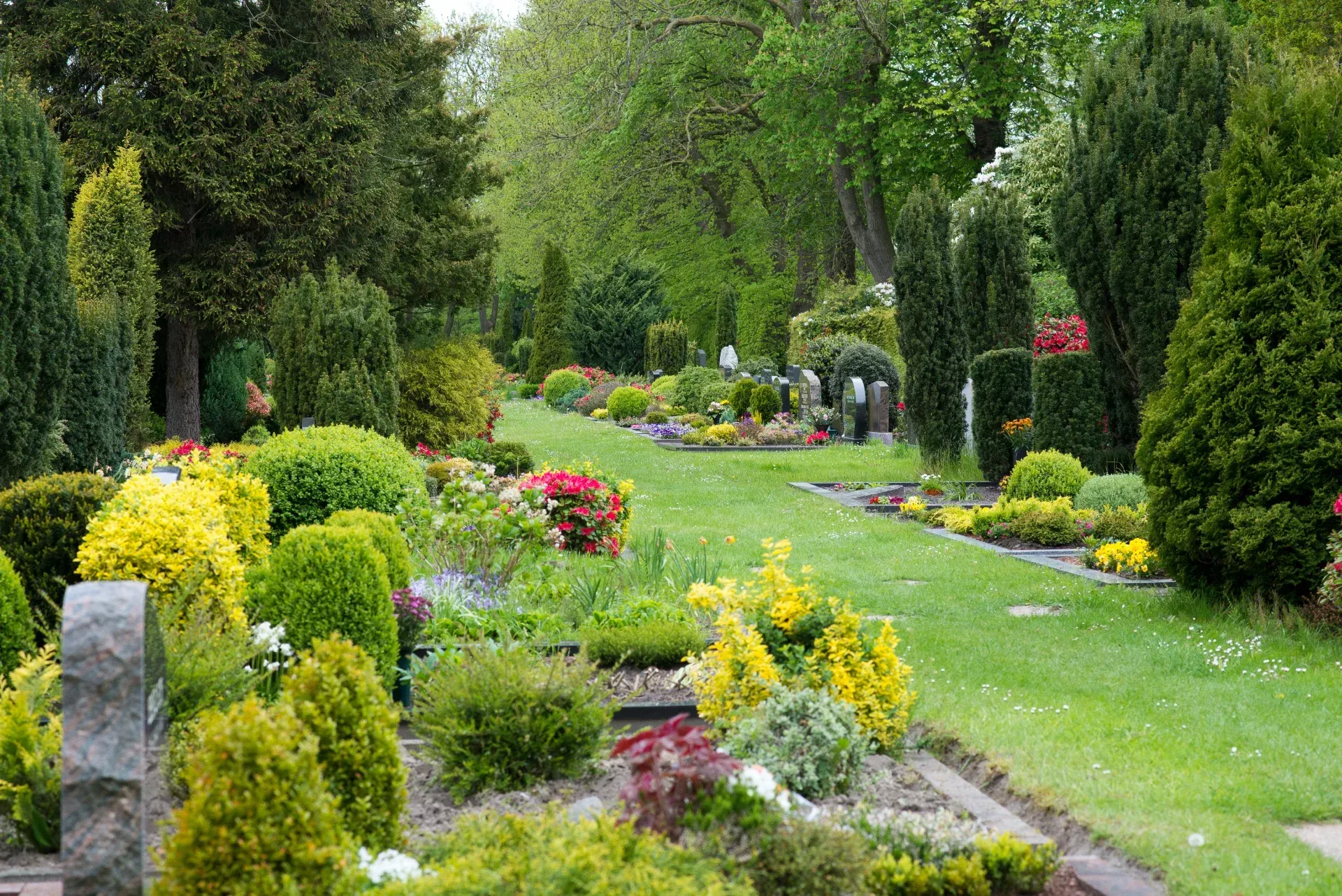 Friedhof mit grünen Graswegen, bunten Blumen und verschiedenen immergrünen Bäumen unter einem strahlenden Himmel.