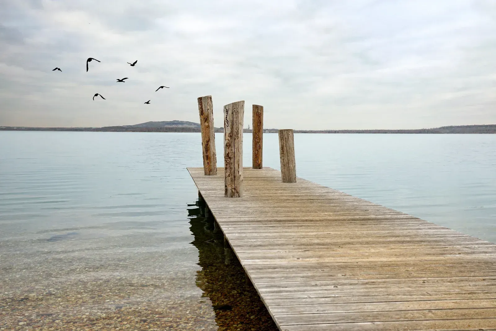 Ein Holzsteg erstreckt sich in einen ruhigen See, Vögel fliegen am bewölkten Himmel.