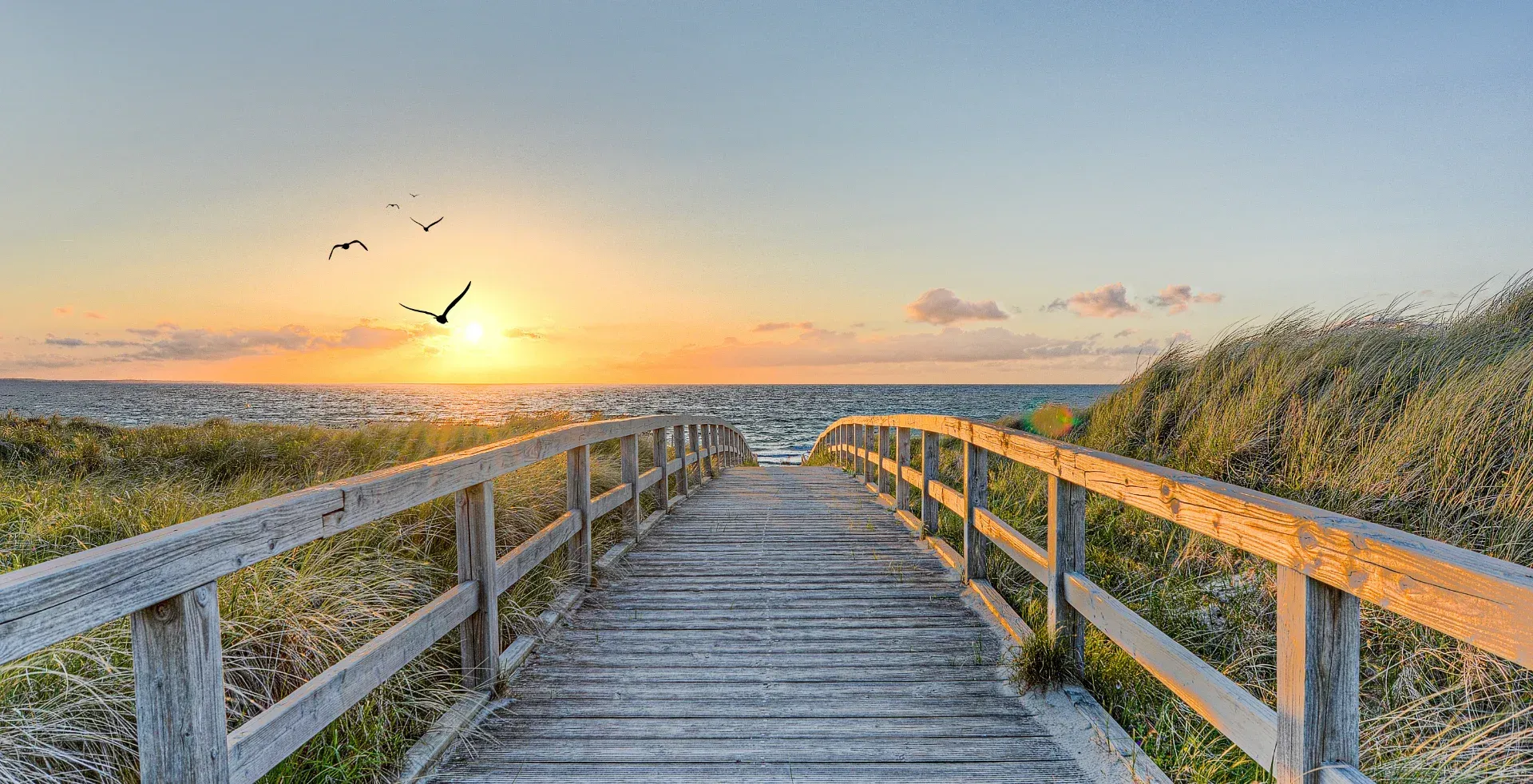 Holzsteg, der bei Sonnenuntergang zum Meer führt; darüber fliegen Vögel.