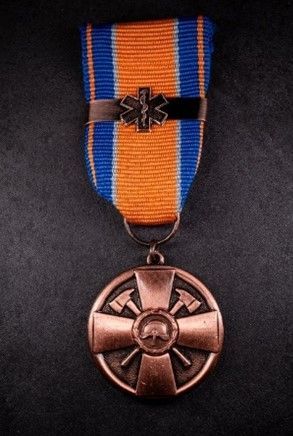 Elämäntähti pronssi