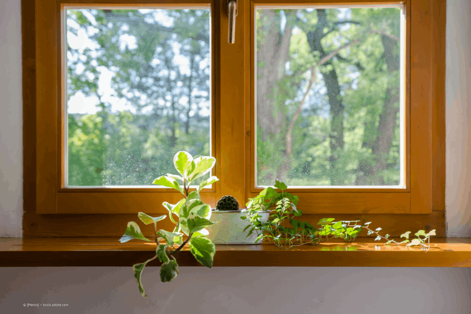 Holzfenster