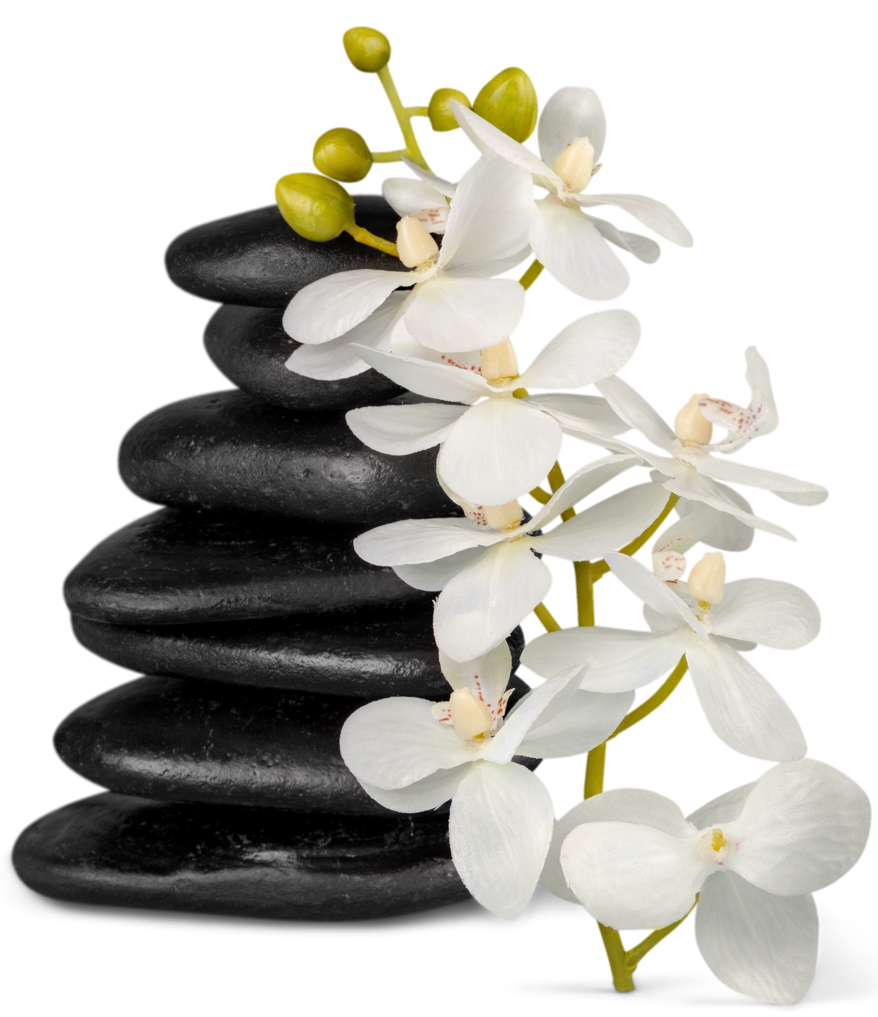 Pierres noires empilées avec des fleurs d'orchidées blanches.