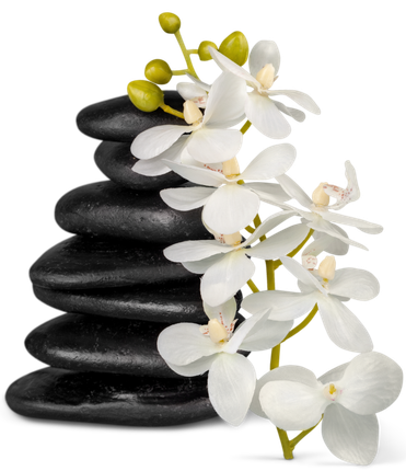 Pierres noires empilées avec des fleurs d'orchidées blanches.