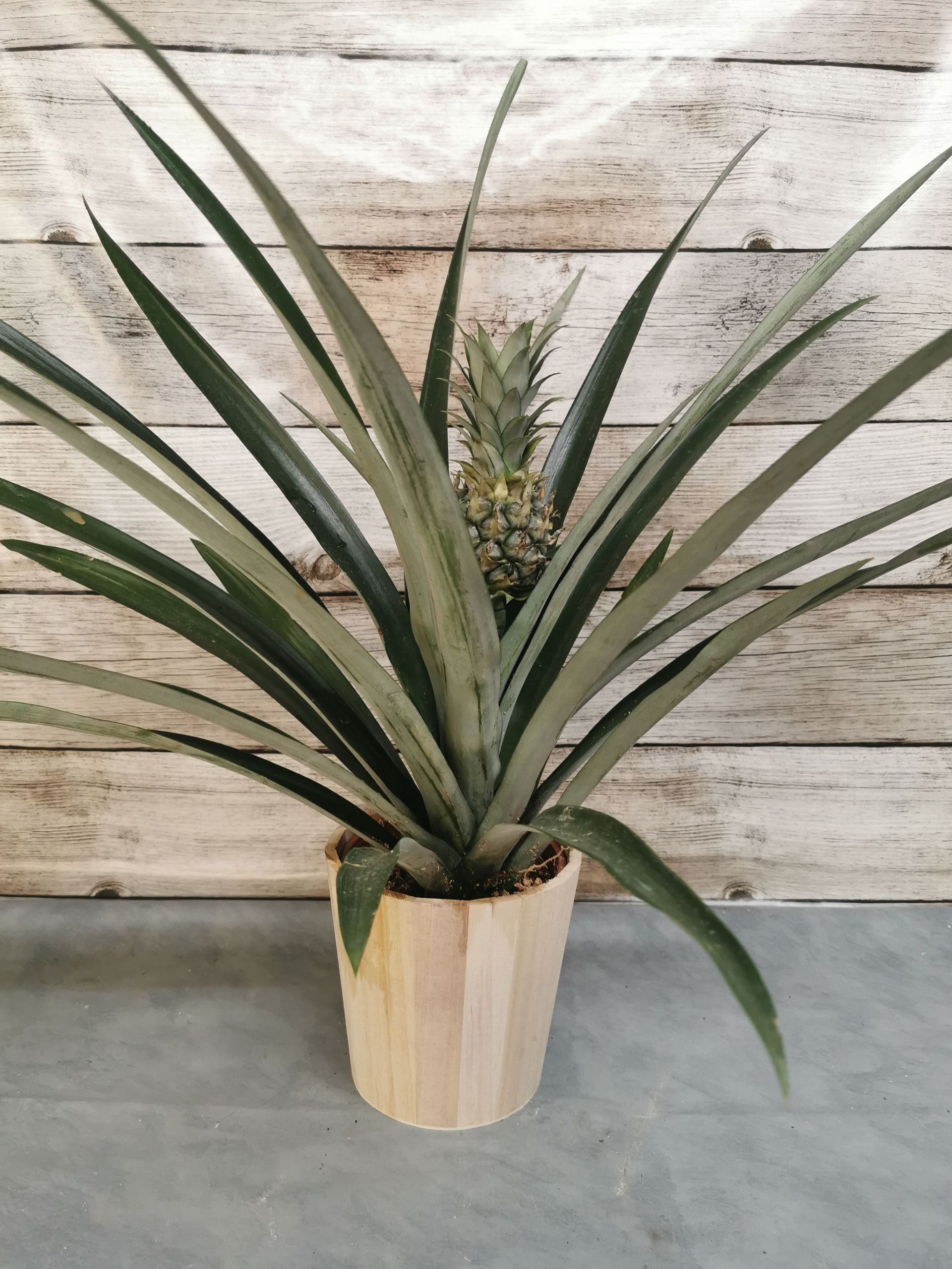 Boutique florale La Joconde