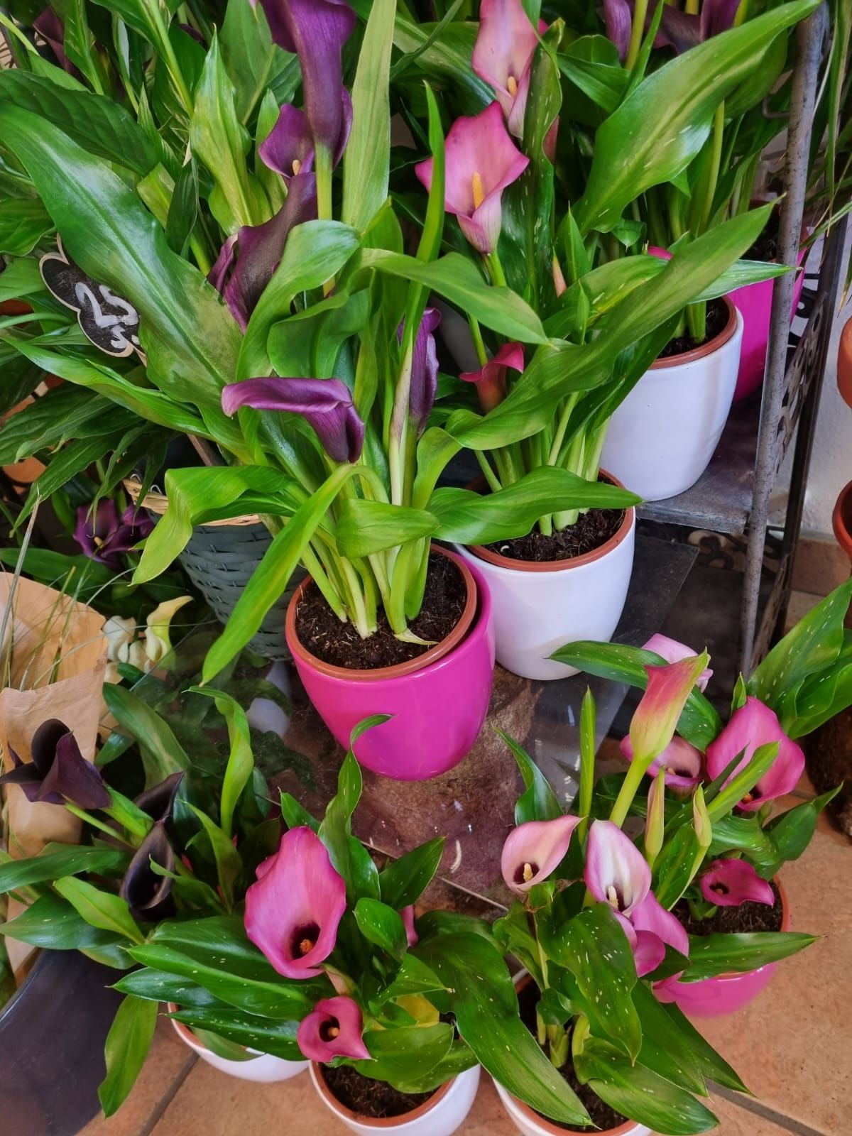 Boutique florale La Joconde