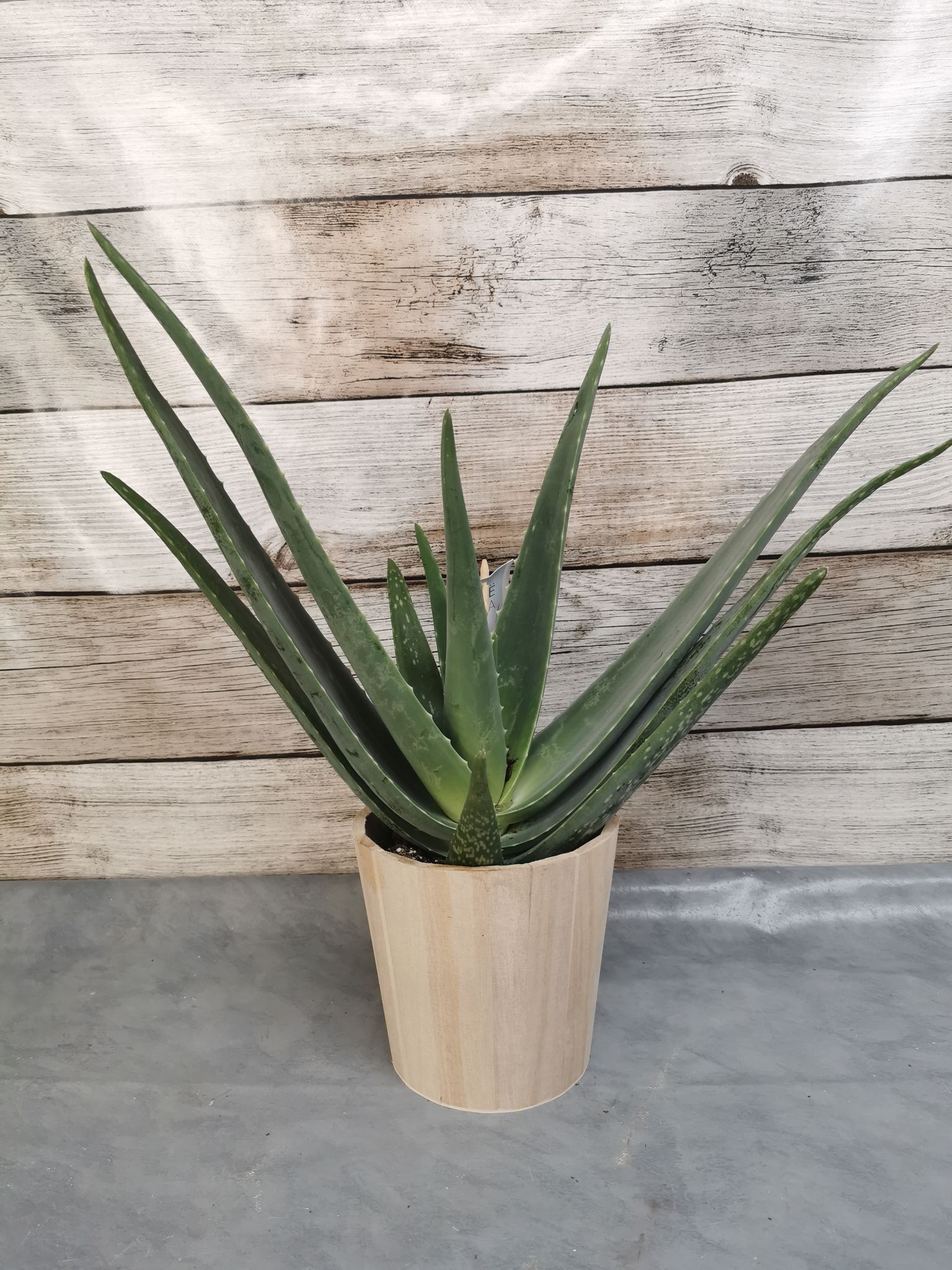 Boutique florale La Joconde