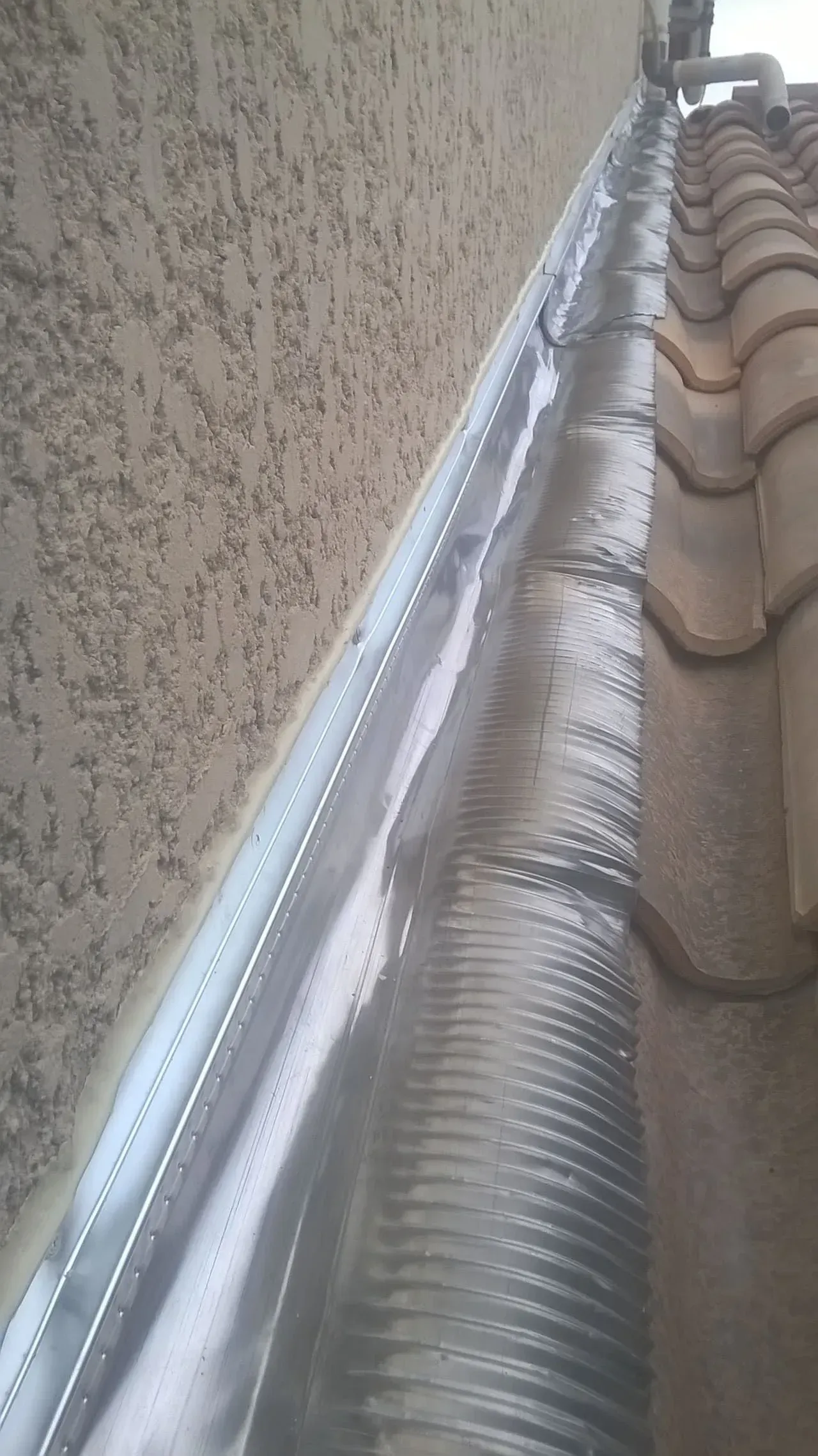 Gros plan sur un solin