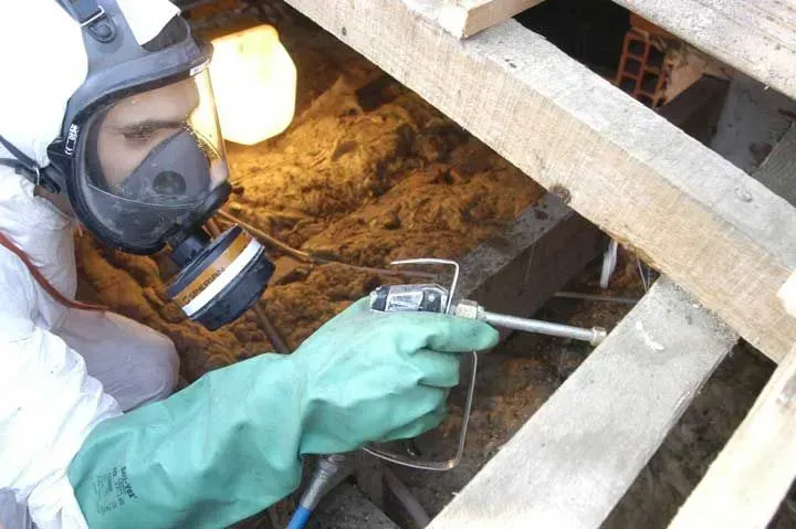 Homme appliquant un produit contre les insectes sur une charpente