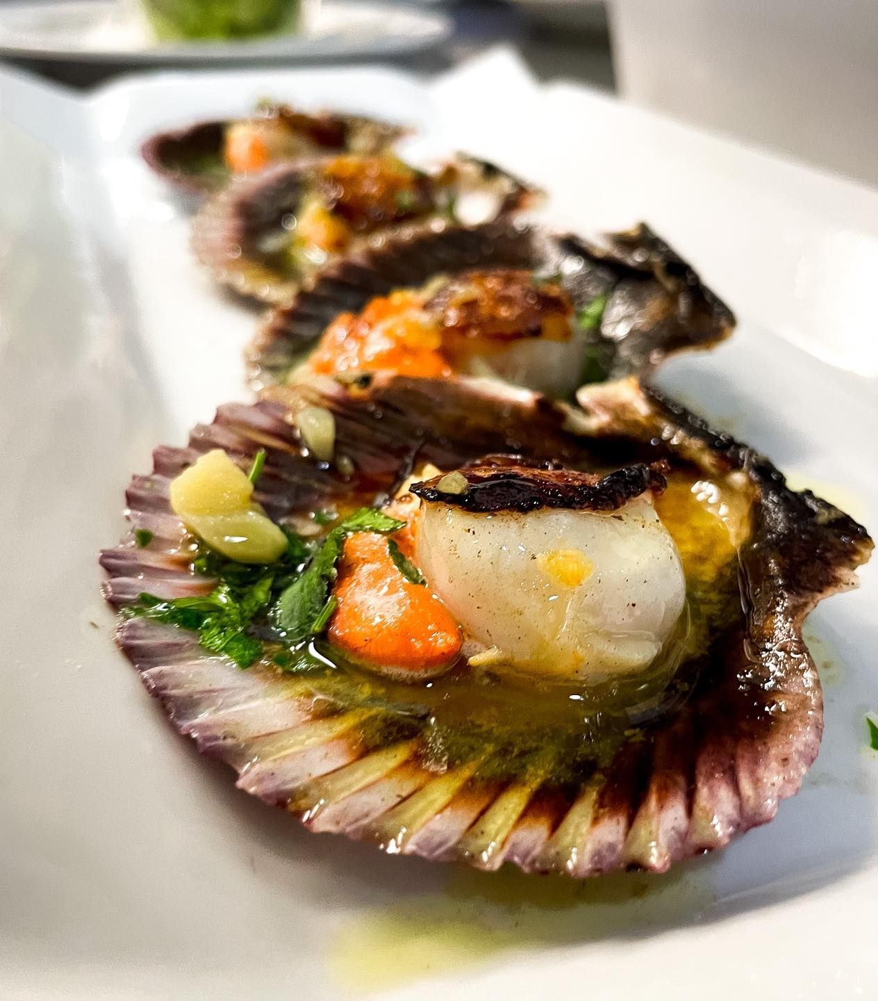 Vieiras selladas en su concha con hierbas y verduras en un plato blanco.