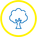 Une icône bleue au trait représentant un arbre centré à l'intérieur d'un épais cercle jaune vif.