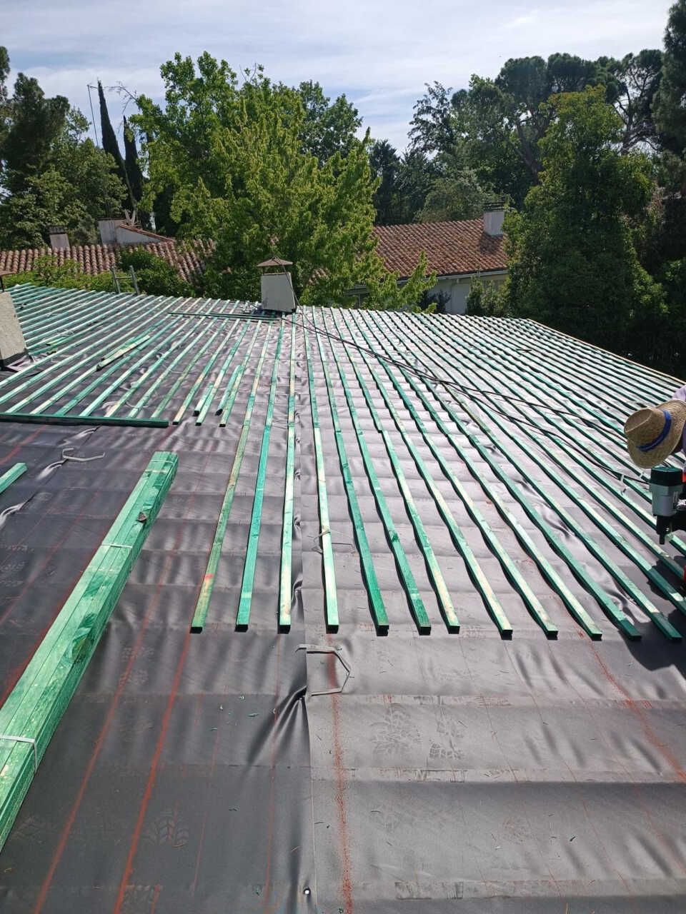 Un techo con muchas lamas verdes.