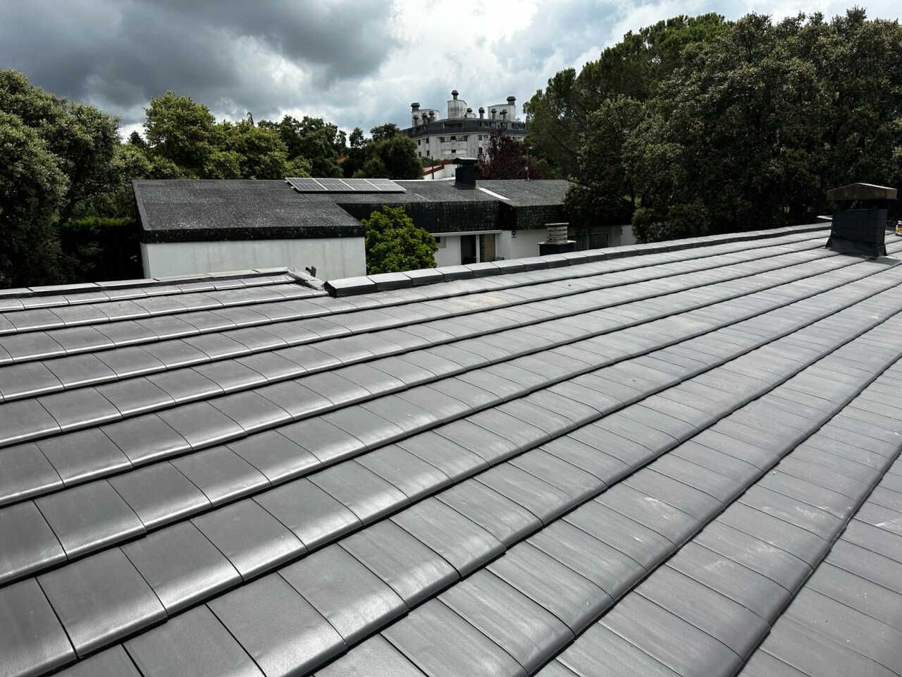 Un techo con una chimenea y árboles al fondo.