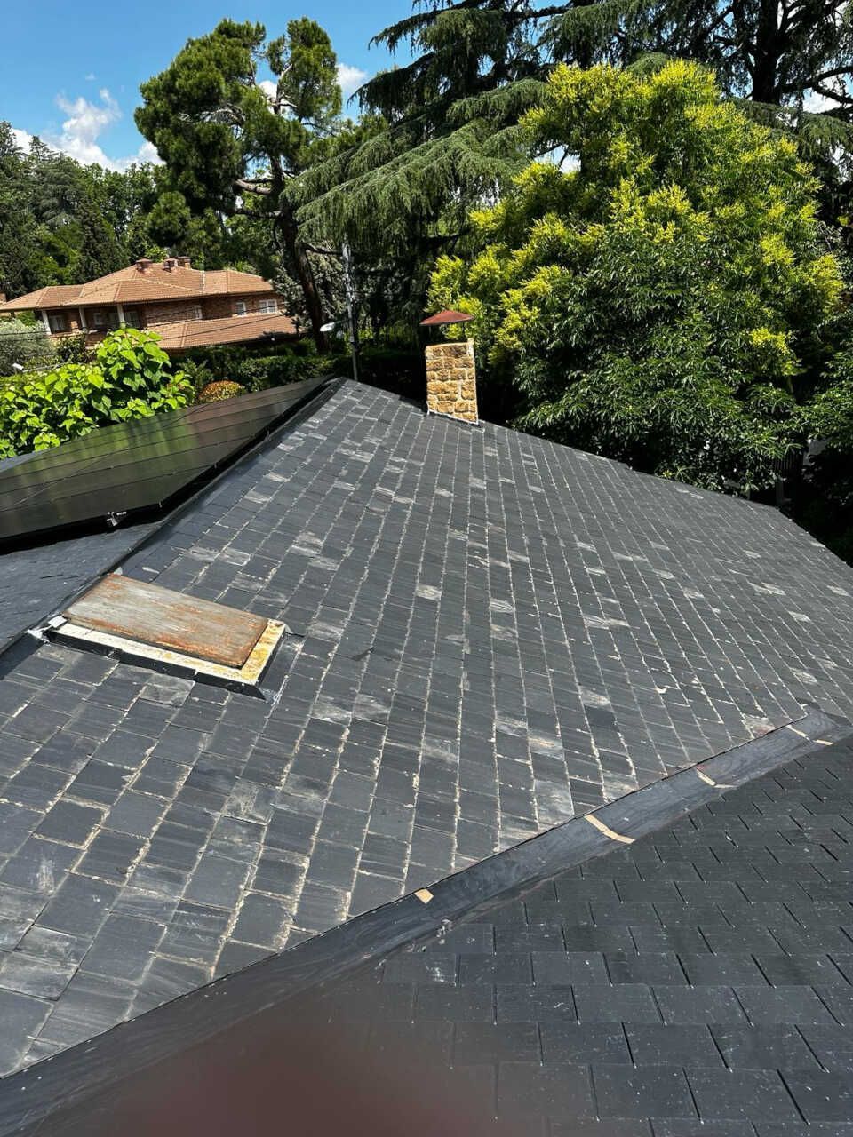 Un tejado con tragaluz y árboles al fondo.