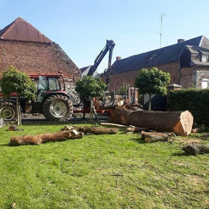 Un tracteur traîne un tronc d'arbre dans un jardin