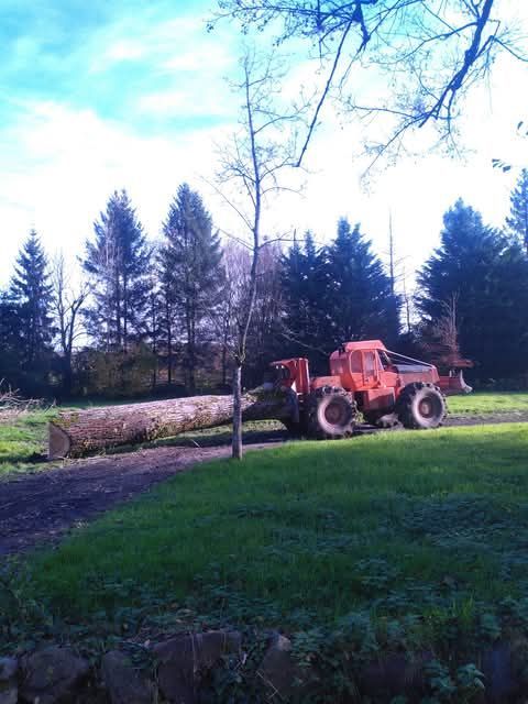 Un tracteur tire un tronc
