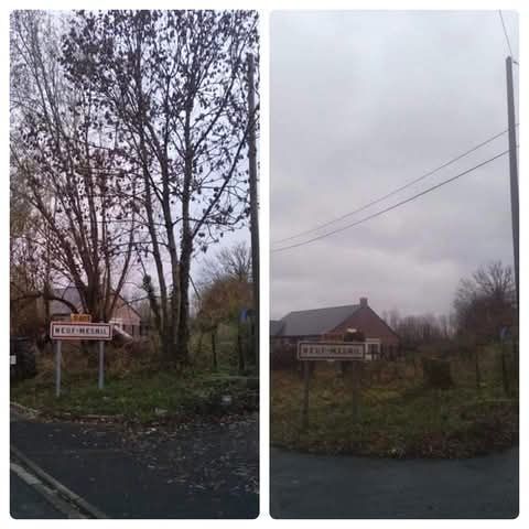 Une photo avant/après d'un abattage d'arbre dans un village
