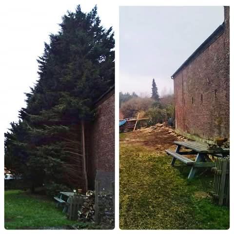 Une photo avant/après d'un abattage d'arbre dans un jardin