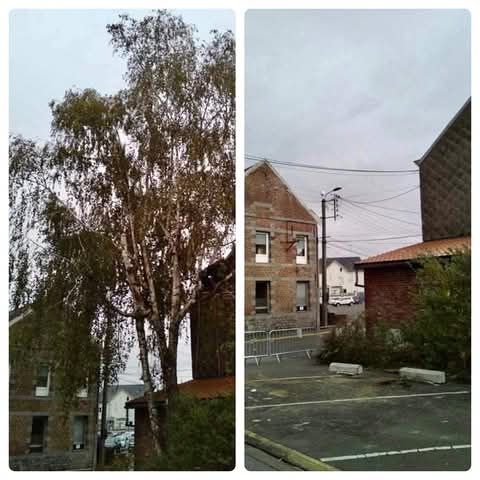 Une photo avant/après d'un abattage d'arbre près d'une maison