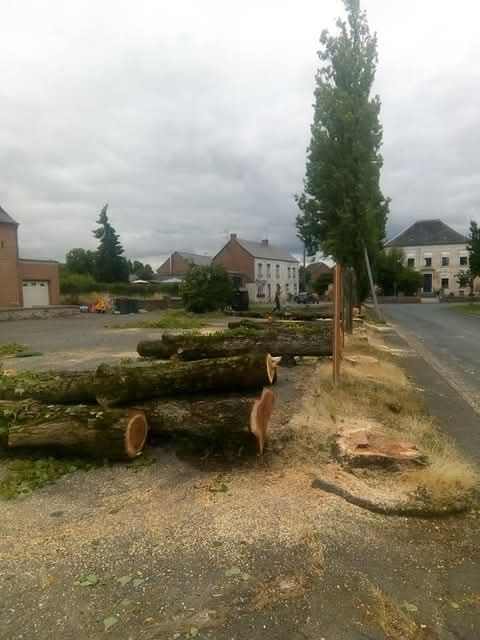 Des troncs au sol dans un village