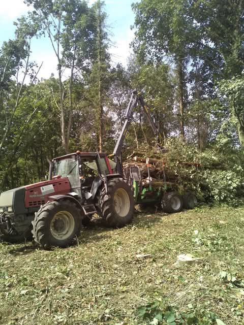 Un tracteur avec des arbres