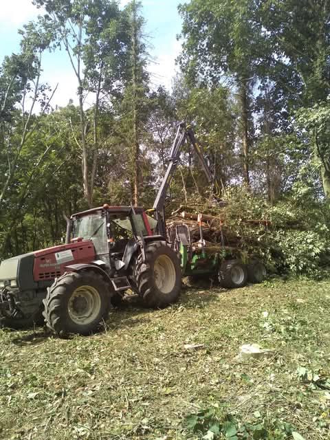 Un tracteur avec des arbres