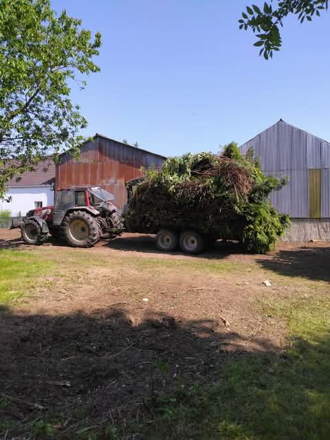 Un tracteur rentre dans un hangar avec de nombreux arbres