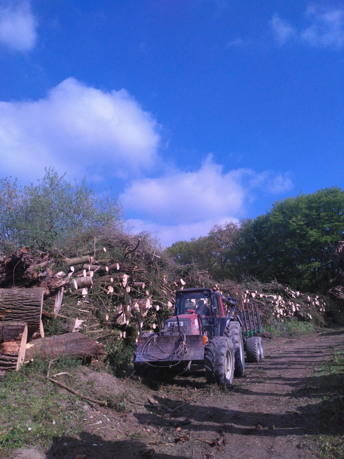 Un tas de troncs avec un tracteur
