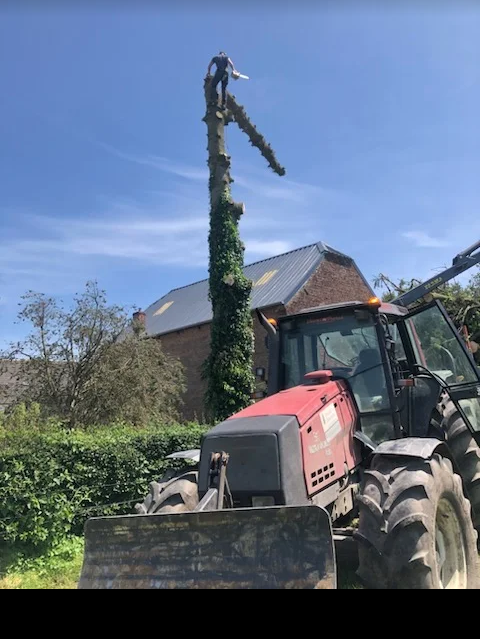 Un tracteur près d'un arbre