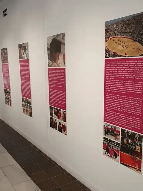 Expositor mural con cuatro paneles verticales de texto y fotos, posiblemente una exposición. Texto rosa sobre pared blanca.