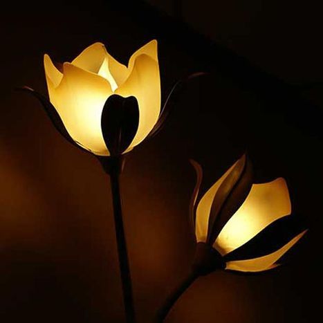 Licht im Garten Wieschenkämper Garten- und Landschaftsbau