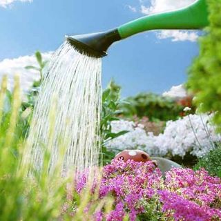 Automatische Gartenbewässerung Wieschenkämper Garten- und Landschaftsbau