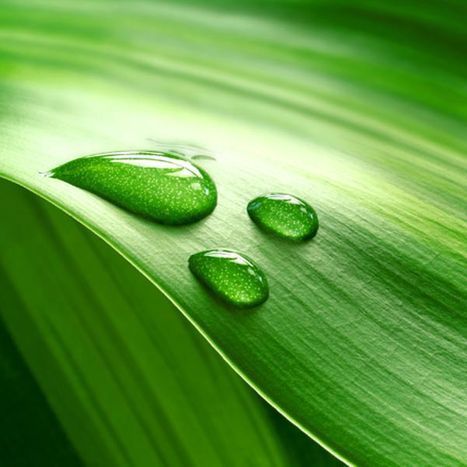 Regenwasser & Versickerung Wieschenkämper Garten- und Landschaftsbau