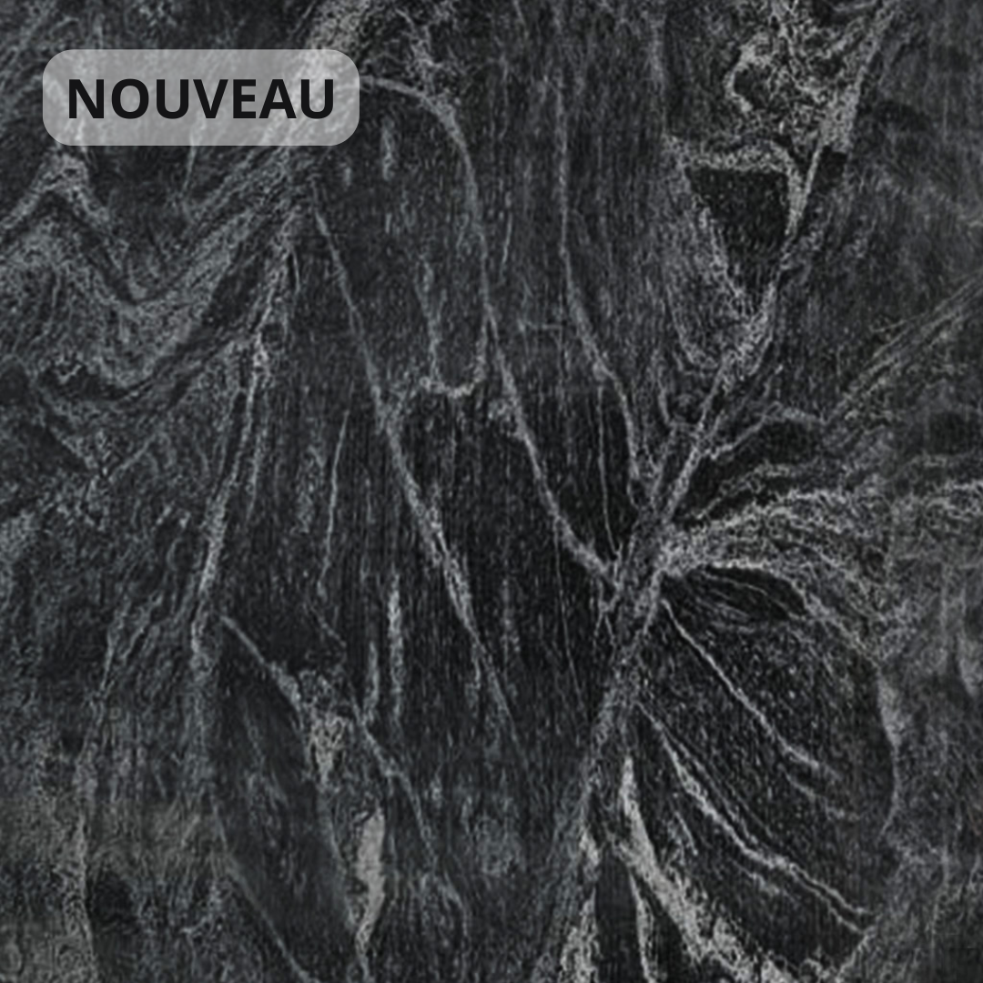 Granit noir veiné de gris et de blanc.