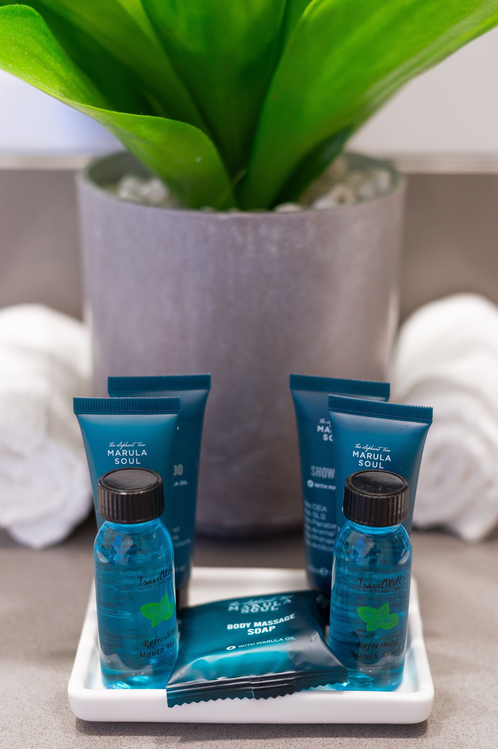 A bathroom counter with a plant and a tray of toiletries.