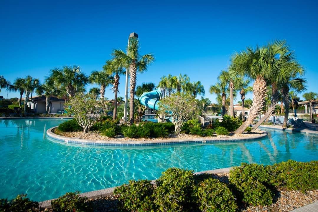 A large swimming pool surrounded by palm trees on a sunny day.
