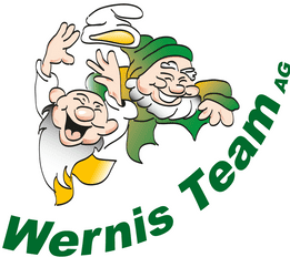 logo Werni's Team Reinigung Unterhalt Reisecar Busreinigung Cars