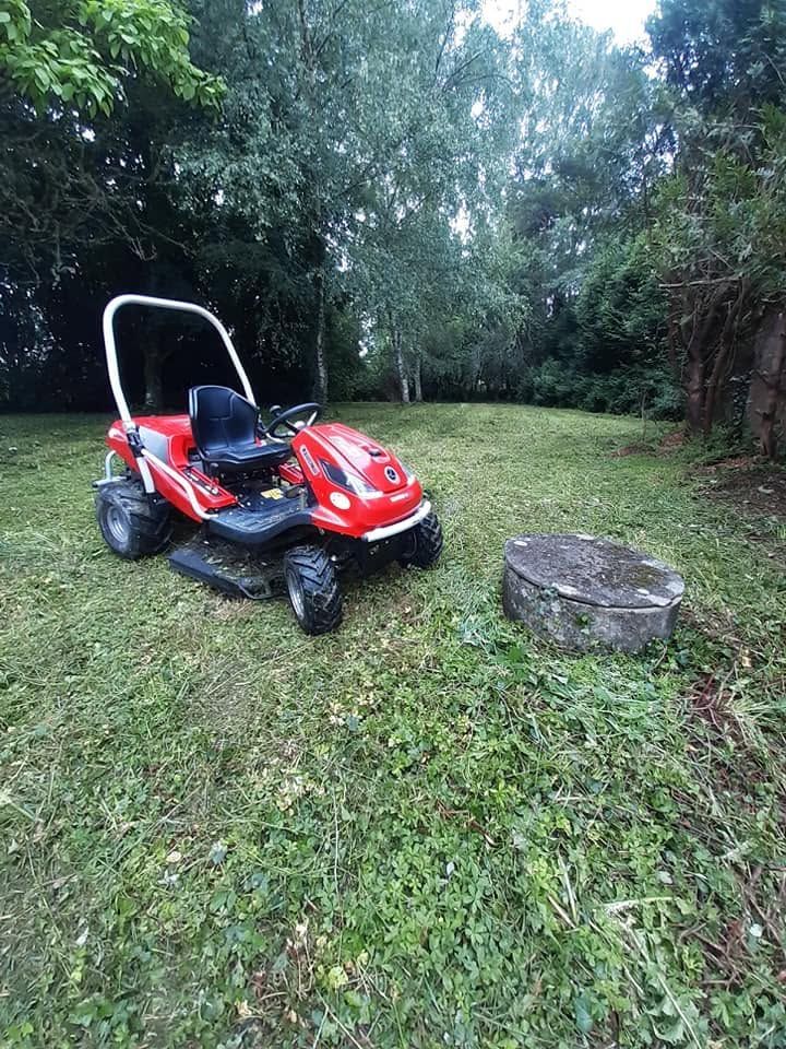 Voiturette de golf rouge garée sur l'herbe à côté d'une souche d'arbre dans une cour boisée